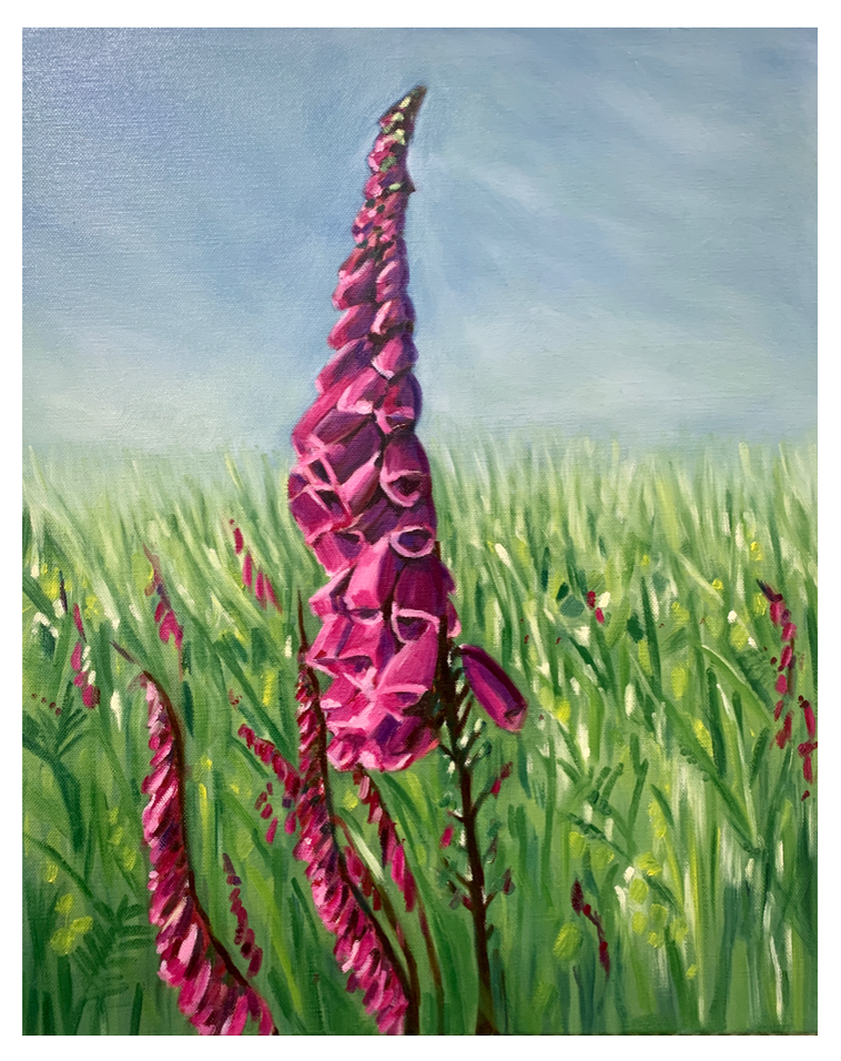 Foxglove in a Summer Meadow